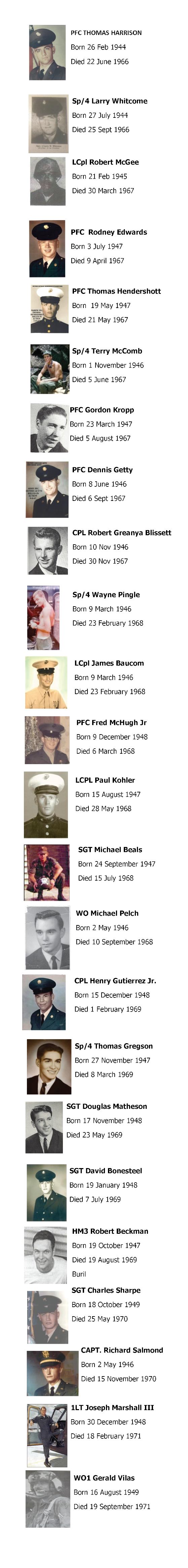 vietnam casualties